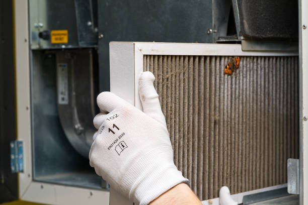 Best Affordable Air Duct Cleaning  in Ames Lake, WA