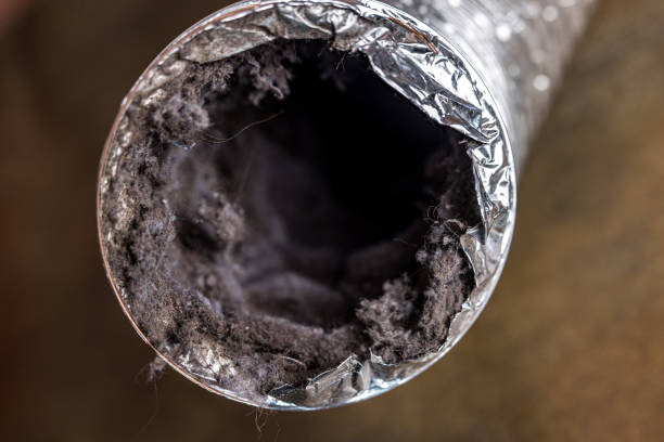 Best HVAC Air Duct Cleaning  in Ames Lake, WA